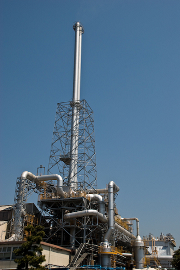 b0156314_6542396.jpg