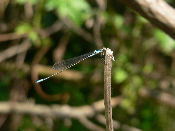 e0002314_2329466.jpg