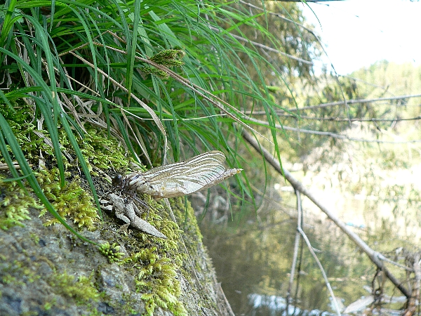e0002314_2333329.jpg