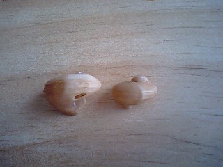 c0120316_121038100.jpg