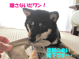 c0185516_21163056.jpg