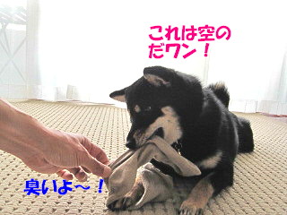 c0185516_21165222.jpg