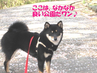 c0185516_21213165.jpg