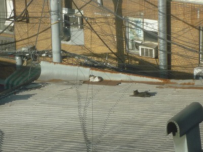 f0095618_9434757.jpg