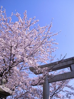 c0094621_2120960.jpg