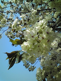 c0182022_17211754.jpg