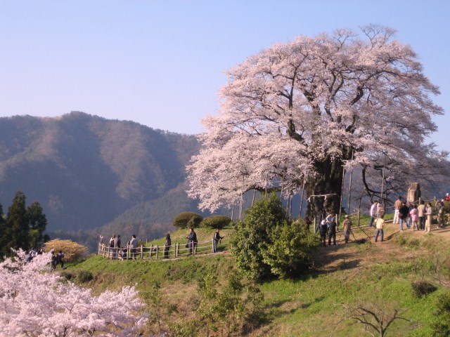 f0031722_22303768.jpg