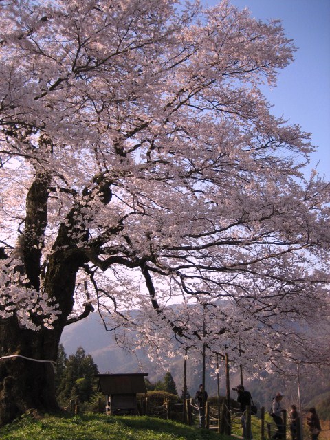 f0031722_223728100.jpg