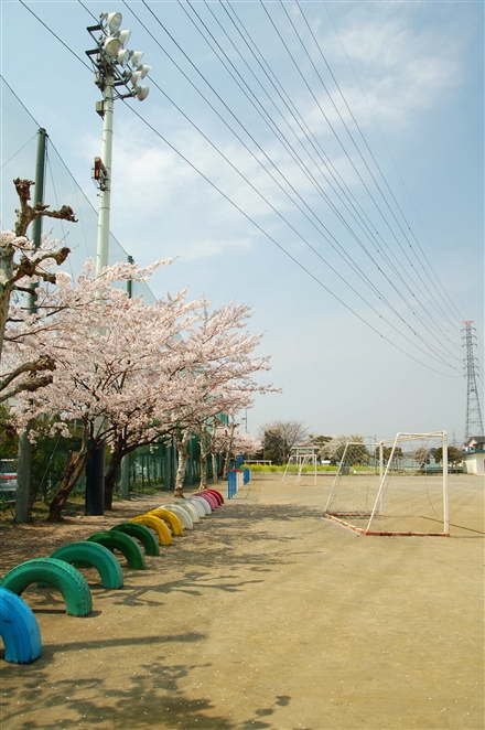 f0040525_1858088.jpg