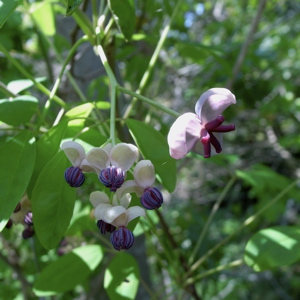 f0151327_1831173.jpg