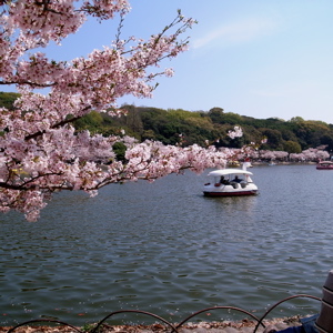 f0151327_18324439.jpg