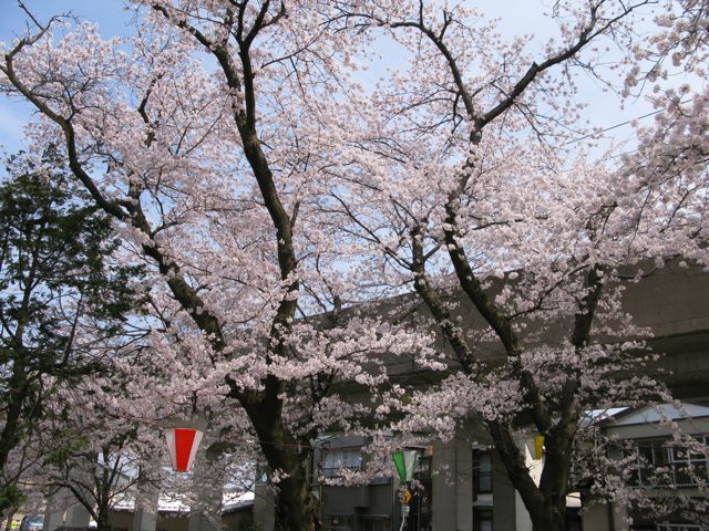 c0019131_20135694.jpg