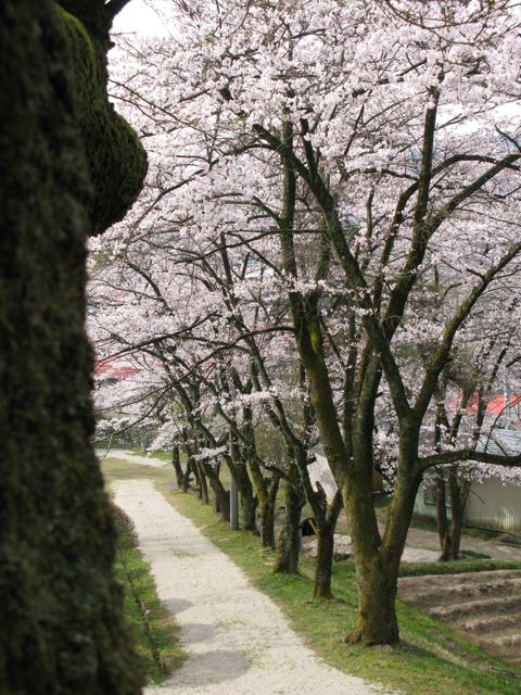 c0019131_20143398.jpg