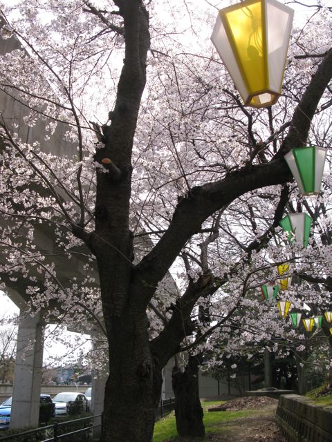 c0019131_20153974.jpg