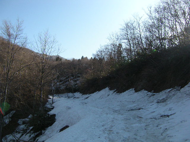 a0119132_19463789.jpg