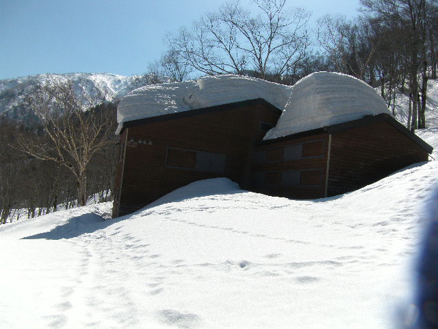 a0119132_19502798.jpg