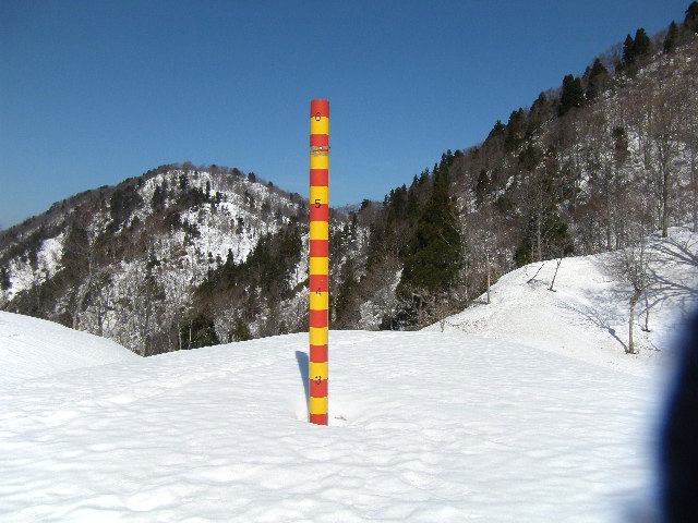 a0119132_1950727.jpg