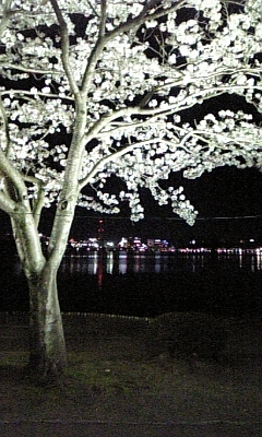f0060535_14102148.jpg