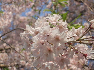 b0165236_103846100.jpg