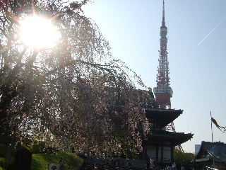 b0165236_10494051.jpg