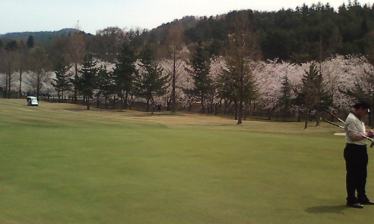 c0117936_185486.jpg