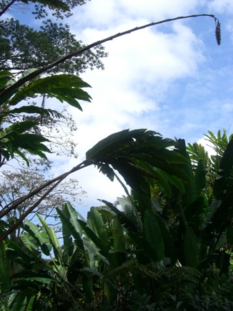e0159936_1132359.jpg