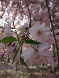 f0201741_1941833.jpg