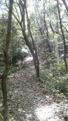 f0060943_21263967.jpg