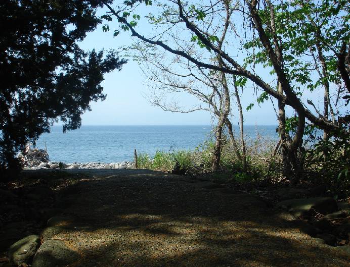 b0140044_2313543.jpg