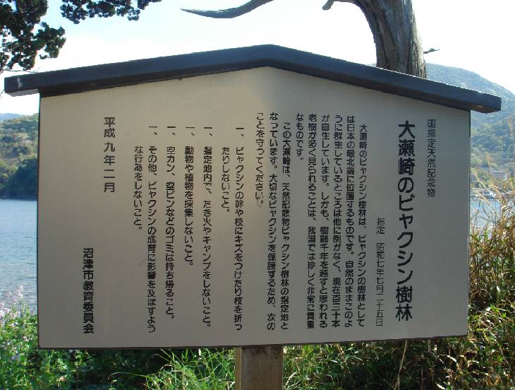 b0140044_23143232.jpg