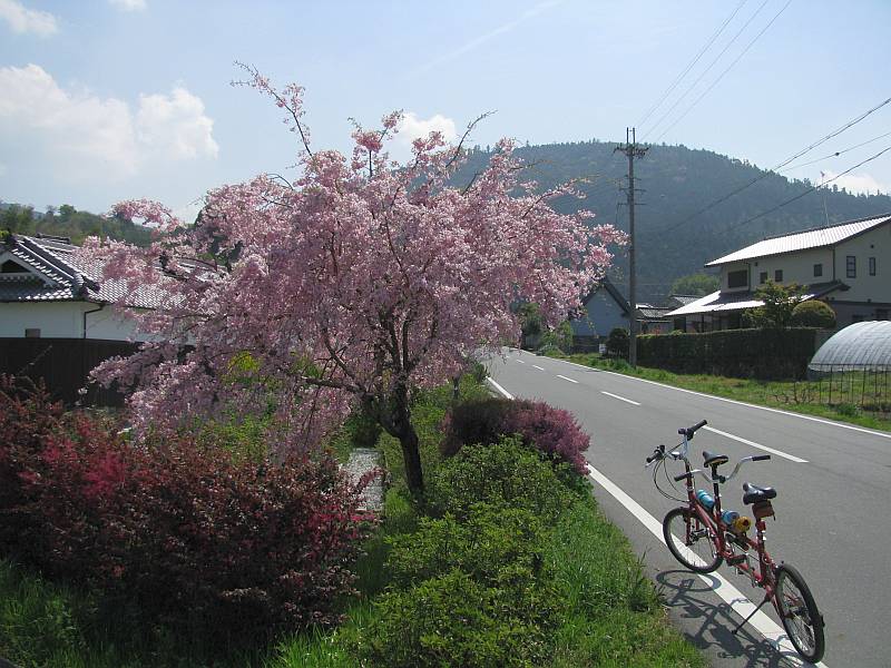 a0103850_1742386.jpg