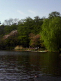 b0119950_23122816.jpg