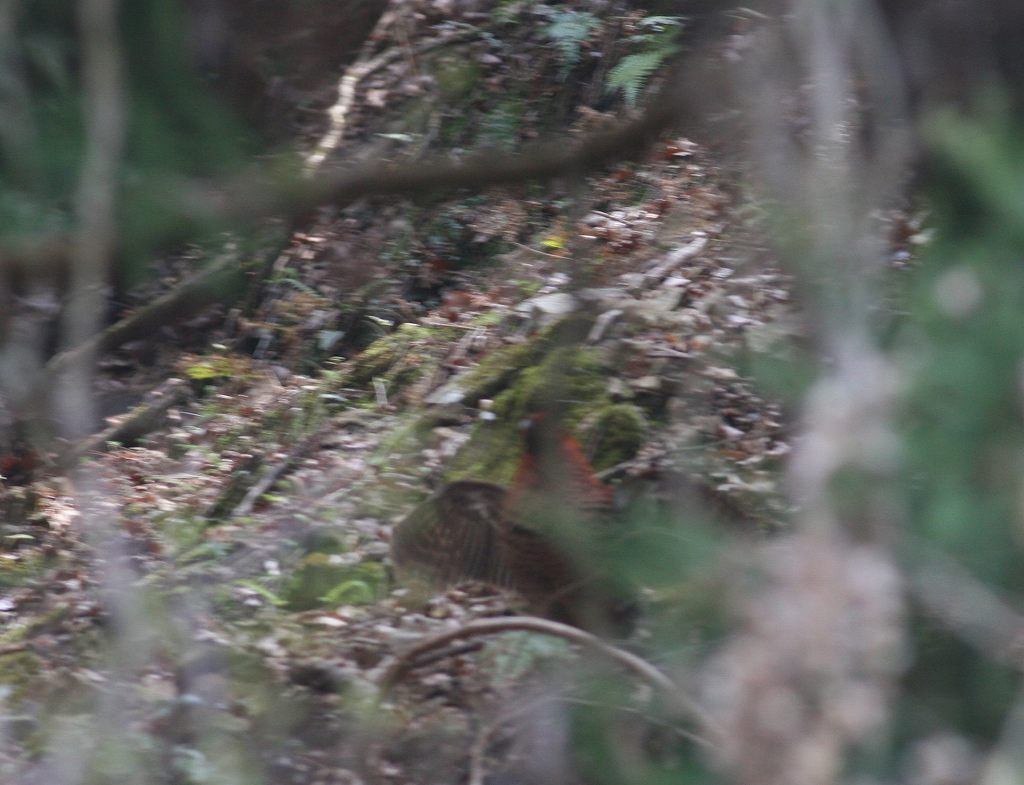e0128650_23311542.jpg