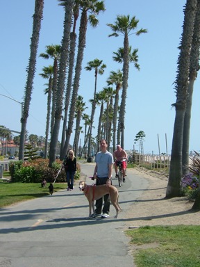 c0078451_10163342.jpg