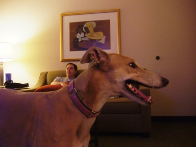 c0078451_1038924.jpg