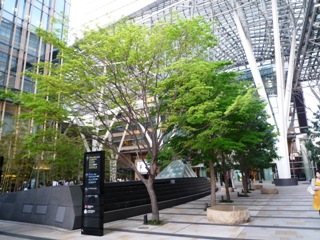 d0036951_0383256.jpg