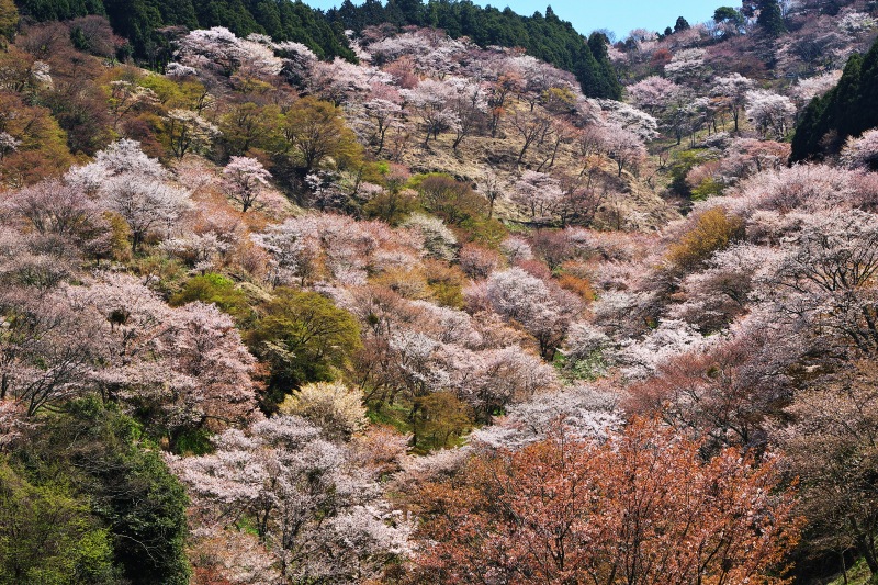 f0049152_21385970.jpg