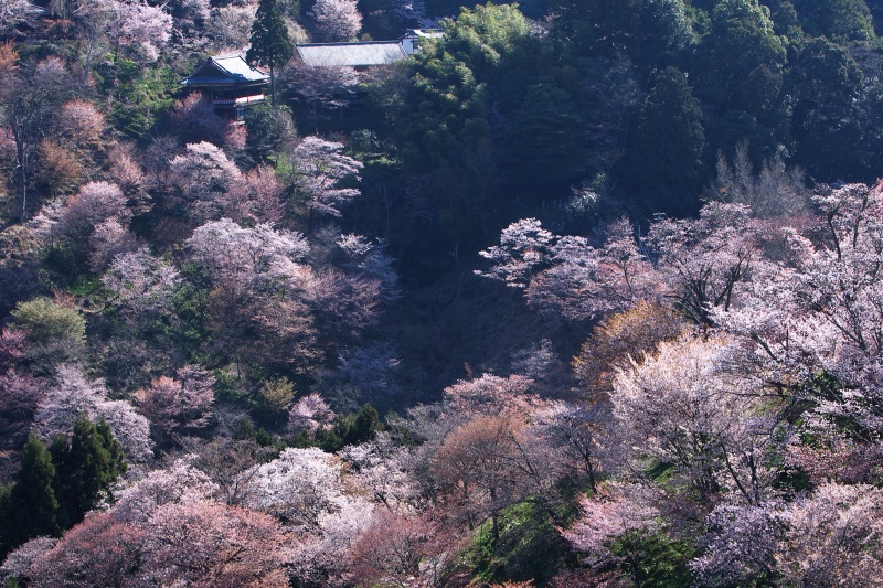 f0049152_21502862.jpg