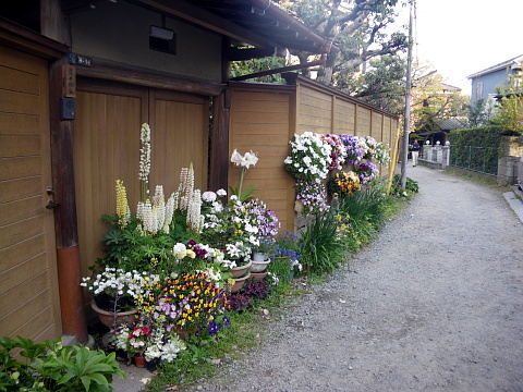 e0050753_22211023.jpg