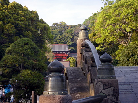 e0050753_2221222.jpg