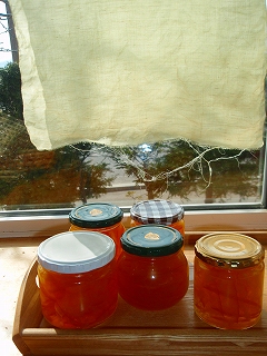 e0004756_836375.jpg