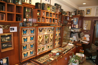 c0182661_20252959.jpg