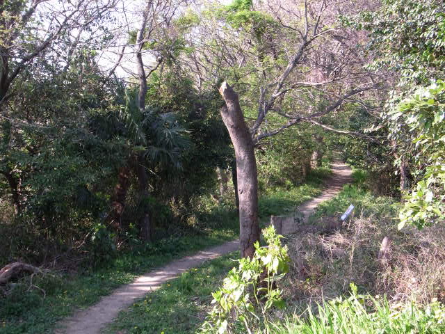 c0197663_0511088.jpg