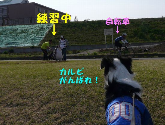 a0100564_19574872.jpg
