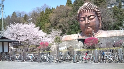 c0132865_1415970.jpg
