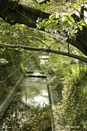 c0027369_1644540.jpg