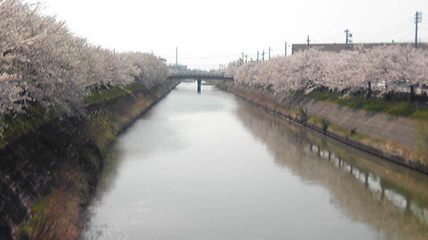 a0006371_13373462.jpg