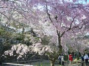 b0102572_1003096.jpg