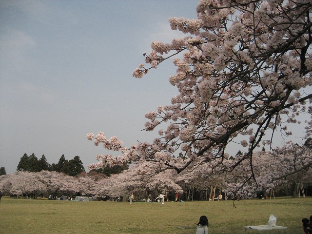 e0106372_20272653.jpg