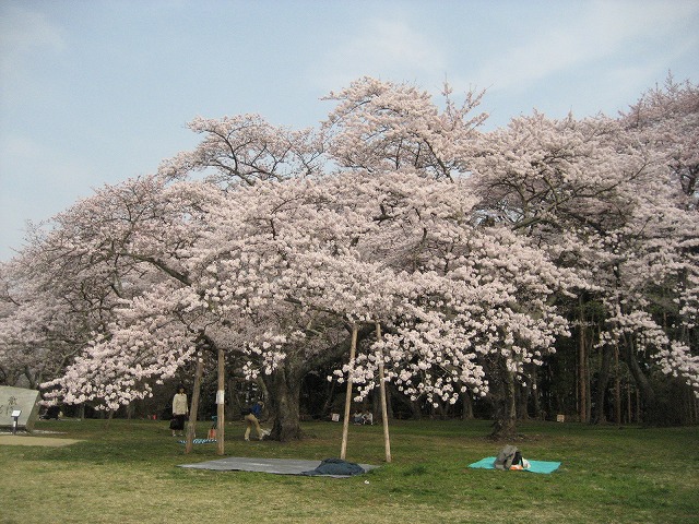 e0106372_20273592.jpg